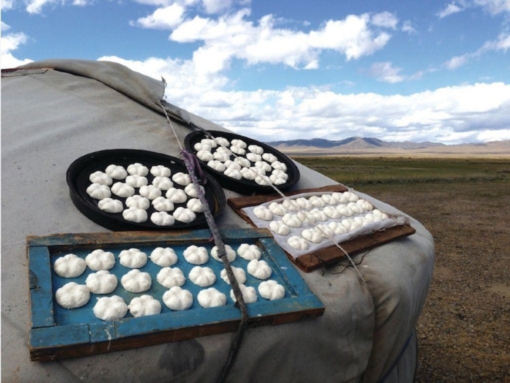 Fromage Traditionnel Mongolie