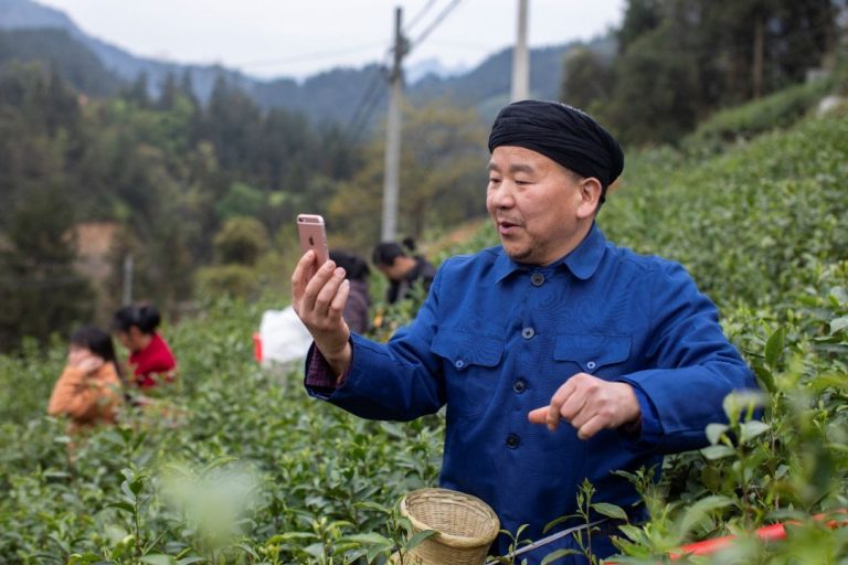 Du cultivateur de thé à l’influenceur en ligne, le rural livestreaming en Chine